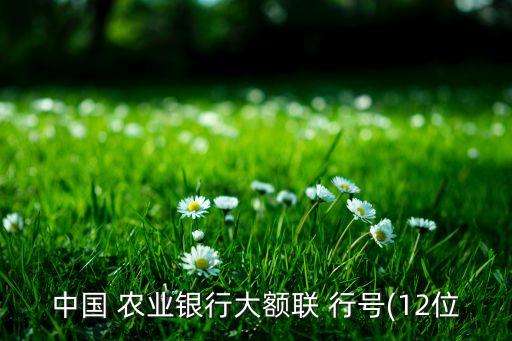 浙江義烏農業銀行支付行號,義烏蘇溪農業銀行的行號是什么