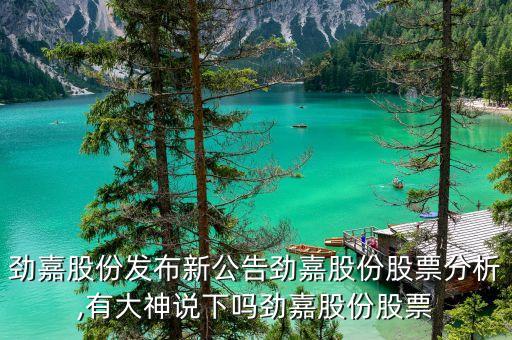 勁嘉股份發布新公告勁嘉股份股票分析,有大神說下嗎勁嘉股份股票