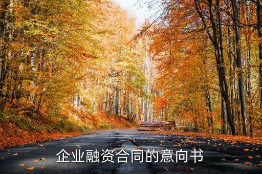 企業融資合同的意向書
