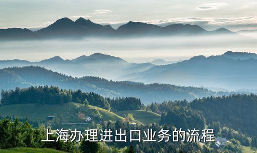 上海辦理進出口業務的流程