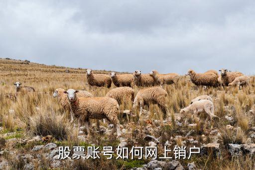  股票賬號如何網上銷戶
