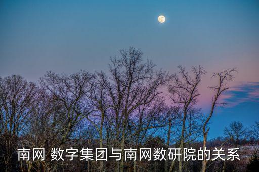 南網 數字集團與南網數研院的關系