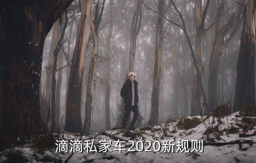  滴滴私家車2020新規則