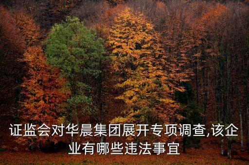 那17家公司違規