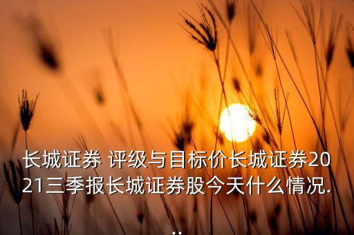 基金子公司監管評級,理財子公司監管評級