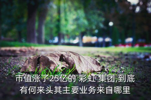 市值漲了25億的 彩虹 集團,到底有何來頭其主要業務來自哪里