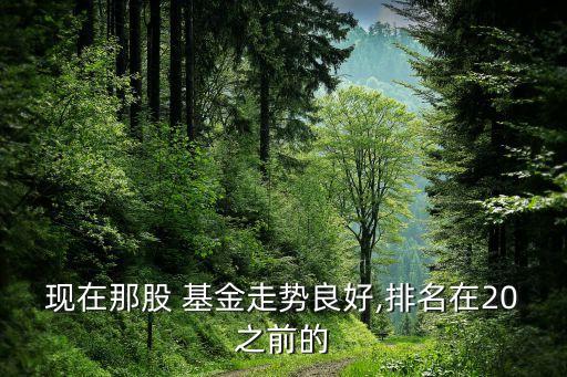長信量化先鋒基金凈值,先鋒量化優選基金暴漲的背后原因