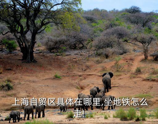 上海自由貿易試驗區示意圖,建設銀行上海自由貿易試驗區支行