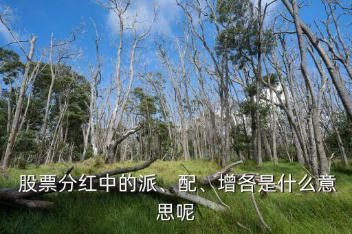  股票分紅中的派、配、增各是什么意思呢