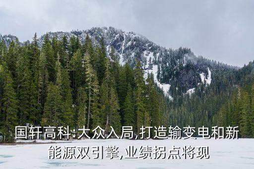 國軒高科:大眾入局,打造輸變電和新 能源雙引擎,業績拐點將現
