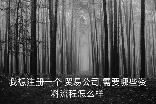 我想注冊一個 貿易公司,需要哪些資料流程怎么樣