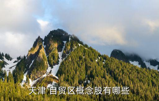 第二批自貿區股票,海南自貿區受益股票有哪些