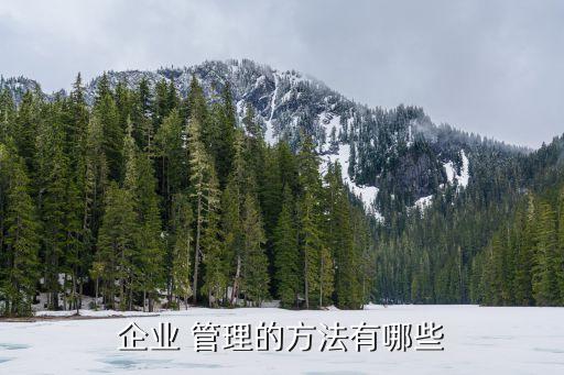 子公司管理細則,理財子公司管理規模