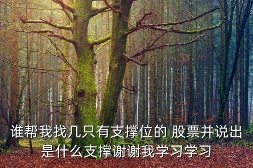誰幫我找幾只有支撐位的 股票并說出是什么支撐謝謝我學習學習