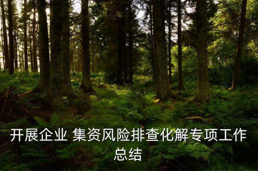 開展企業 集資風險排查化解專項工作總結