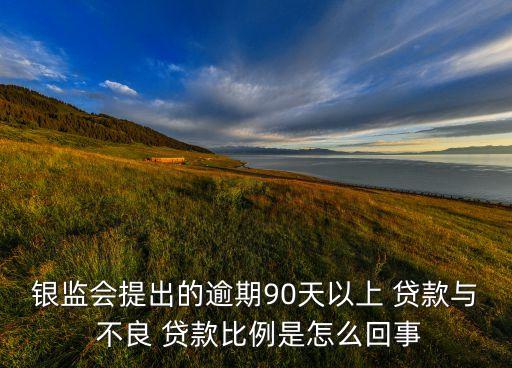銀監會提出的逾期90天以上 貸款與 不良 貸款比例是怎么回事
