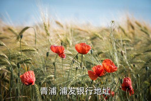 上海浦發銀行張江支行