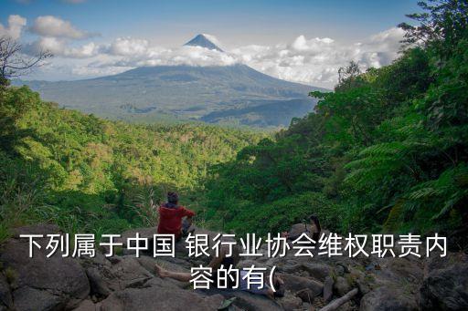 下列屬于中國 銀行業協會維權職責內容的有(