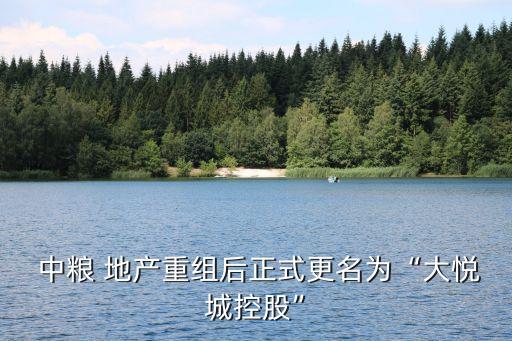  中糧 地產重組后正式更名為“大悅城控股”