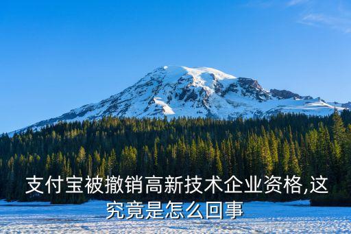  支付寶被撤銷高新技術企業資格,這究竟是怎么回事