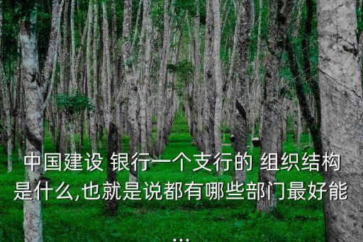 中國建設 銀行一個支行的 組織結構是什么,也就是說都有哪些部門最好能...
