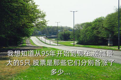 我想知道從95年開始到現在,漲幅最大的5只 股票是那些它們分別各漲了多少...