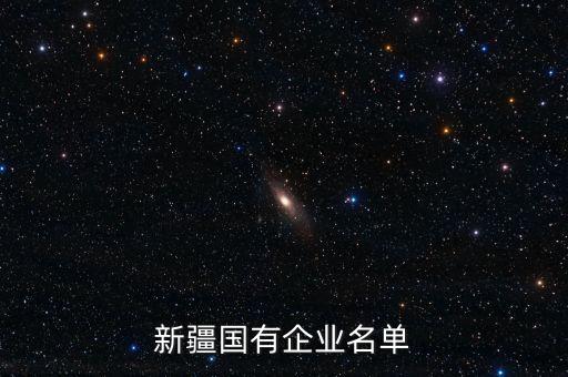 新疆國有企業名單
