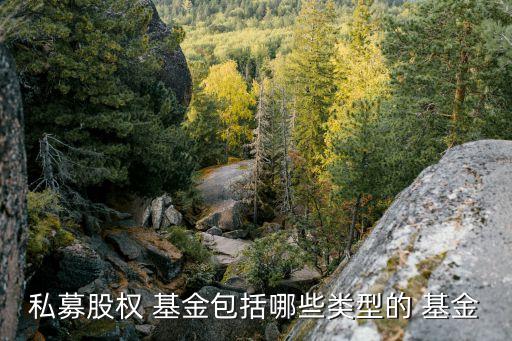 夾層基金投資規模