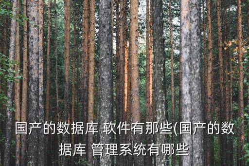 華軟件商業銀行稽核審計管理系統