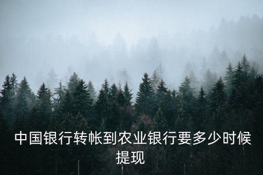  中國銀行轉帳到農業銀行要多少時候提現