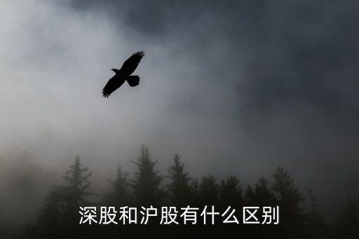 滬市和深市股票區別,創業板是滬市還是深市股票