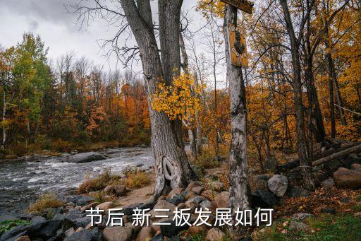 新三板掛牌公司股票發行研究報告
