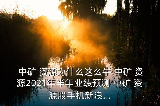  中礦 資源為什么這么牛 中礦 資源2021年半年業績預測 中礦 資源股手機新浪...