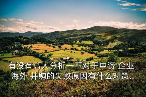 有沒有高人分析一下對于中資 企業 海外 并購的失敗原因有什么對策...