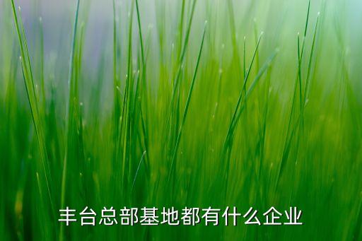 豐臺總部基地都有什么企業
