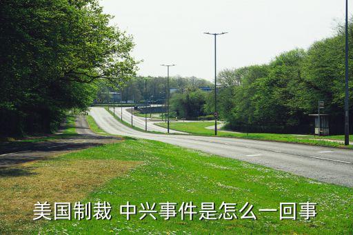 中興公司戰略分析,比亞迪公司戰略分析