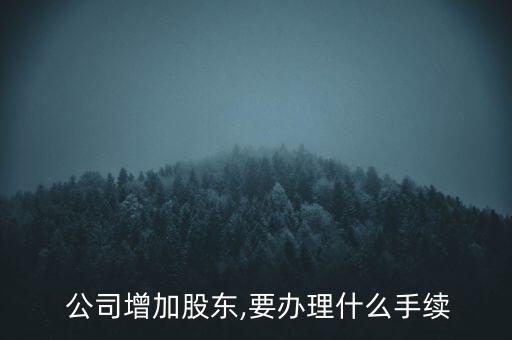 公司注冊后怎樣加入新的股權