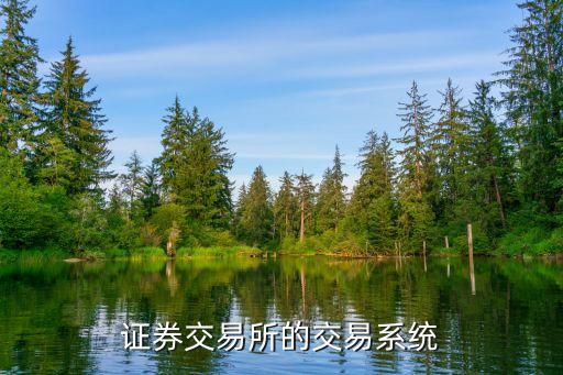 證券交易所的交易系統