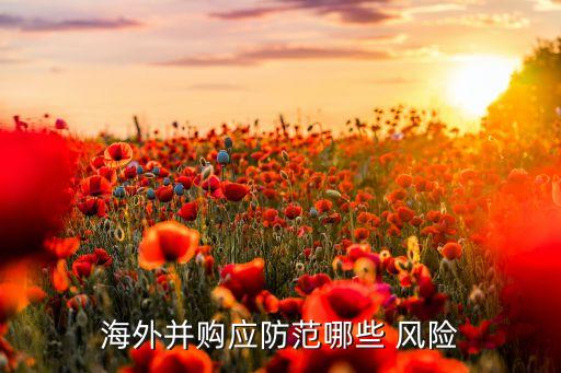 中國企業走出去風險,企業走出去面臨的風險