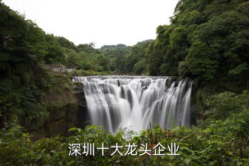 深圳十大龍頭企業