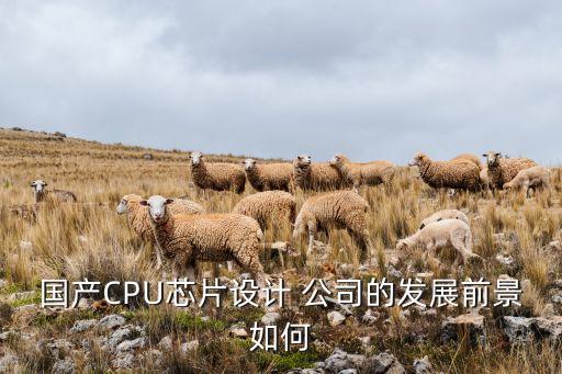 國產CPU芯片設計 公司的發展前景如何
