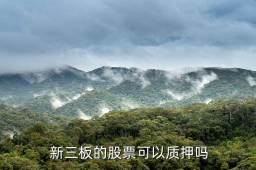 新三板上市企業能否歸還銀行貸款
