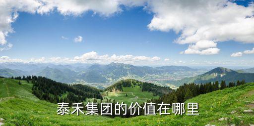 上海泰禾地產,泰禾地產最新消息2023