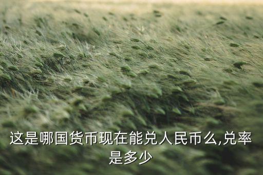 這是哪國貨幣現在能兌人民幣么,兌率是多少
