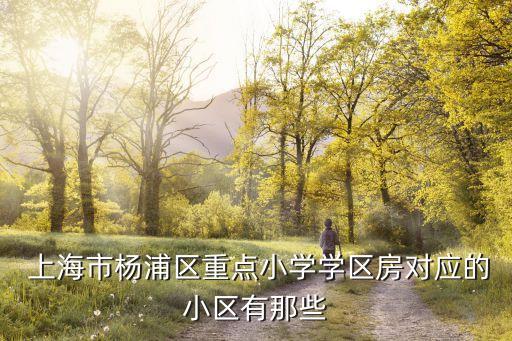  上海市楊浦區重點小學學區房對應的小區有那些