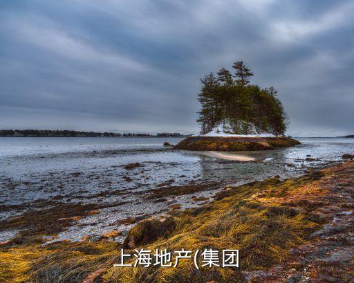 上海綜合保稅區聯合發展有限公司電話