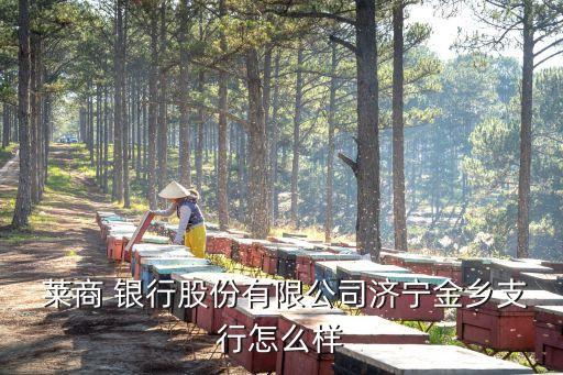  萊商 銀行股份有限公司濟寧金鄉支行怎么樣