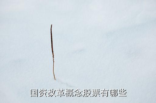 安源煤業股份有限公司,江西安源煤業集團股份有限公司