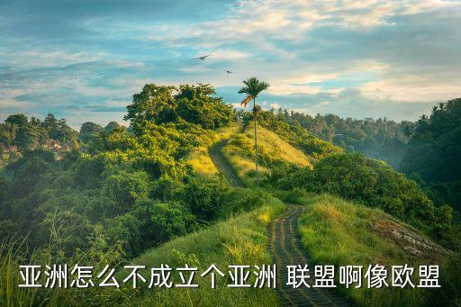 亞洲怎么不成立個亞洲 聯盟啊像歐盟