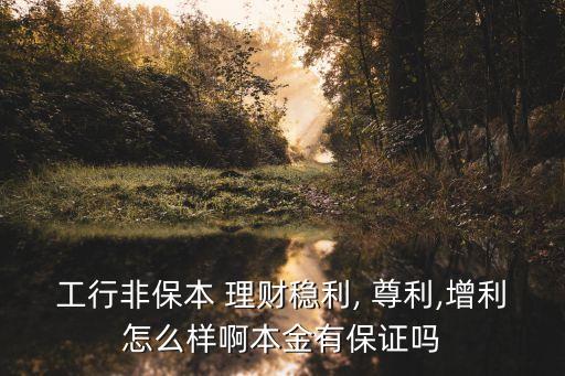 工行非保本 理財穩利, 尊利,增利怎么樣啊本金有保證嗎